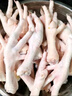 圣農(nóng) 雞長爪 凈重2斤 冷凍 白羽雞鹵雞爪檸檬雞爪食材 烤雞爪 清真 曬單實(shí)拍圖