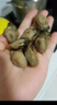 內廷上用胖東來(lái)品質(zhì)生蠔干貨金蠔干煲湯湛江特大特級生曬不抽油美容養顏 牡蠣新鮮生曬A精品蠔干【30-40個(gè)】實(shí)惠裝 京官方店?yáng)|自旗艦營(yíng)大 曬單實(shí)拍圖