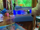 兒童電動(dòng)水族箱迷你魚(yú)缸益趣啟蒙玩具母嬰早教養魚(yú)虎年禮物桌面小擺件親子互動(dòng)男孩女孩兒童節禮物幼兒園玩具 迷你電動(dòng)水族箱【天藍色】 曬單實(shí)拍圖