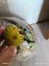 淳果一木 黃心獼猴桃 彌猴桃金果奇異果獼猴桃 新鮮水果 生鮮 水果 12個(gè) 精品果 單果70-100克+ 曬單實(shí)拍圖