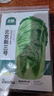 北蔬 北京新三號白菜種子苗葉多秋季蔬菜種籽 北京新三號種子10g×3包 曬單實(shí)拍圖