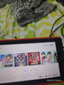 Dsheng適用任天堂Switch電池全新3DS電板new3DSLL更換NS手柄2DSX主機lite Switch電池+螺絲刀撬棒 曬單實(shí)拍圖