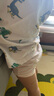 尼多熊兒童內(nèi)褲女中大童A類平角純棉嬰兒不夾pp透氣舒適四角短褲 S碼 曬單實拍圖