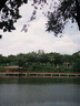 優(yōu)衣庫女裝休閑長(cháng)褲/休閑運動(dòng)褲降落傘褲子防曬褲475820 09 黑色 S /155/62A 曬單實(shí)拍圖