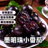 【墨明珠黑番茄】黑玫瑰番茄紫龍樊圣女果紫瓤紫色汁水水果小柿子 墨明珠小番茄 5斤 凈重 富含花青素的小番茄 曬單實(shí)拍圖