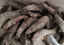北海灣 蝦 青島大蝦鮮活冷凍基圍蝦 蝦類(lèi) 海鮮水產(chǎn)生鮮白蝦青蝦海蝦對蝦 鹽凍大蝦 3.6斤(凈重)  15-17cm【單只凍 無(wú)冰衣】 曬單實(shí)拍圖