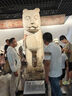 邁飛特成人游泳腰帶初學(xué)者裝備專(zhuān)用輔助工具專(zhuān)業(yè)大浮力訓練水上漂浮浮板 藍色中號 成人/兒童通用150斤內 曬單實(shí)拍圖