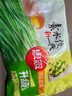 思念素水餃韭菜雞蛋口味1kg約50只 速凍餃子蒸餃煎餃早餐食品 曬單實(shí)拍圖