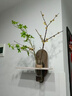 中古風(fēng)電視背景墻掛畫(huà)水培綠植餐廳墻裝飾畫(huà)復古高級感立體砂巖畫(huà) 雅園如夢(mèng) 40*35cm 雙層立體砂巖畫(huà)（送玻璃花瓶+仿真綠植） 曬單實(shí)拍圖