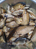 川澤線(xiàn)組主線(xiàn)全套進(jìn)口魚(yú)線(xiàn)成品線(xiàn)組套裝釣鯽魚(yú)競技線(xiàn)組正品大物線(xiàn)組 4.5m【4卷裝】+收納盒剪刀 1.5號 曬單實(shí)拍圖