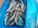 禧美海產(chǎn) 厄瓜多爾巨無(wú)霸白蝦 去冰凈重3斤 30-40只/kg 鹽凍大蝦 海鮮水產(chǎn) 曬單實(shí)拍圖