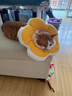 華元寵具（hoopet）狗狗伊麗莎白圈項圈小型犬寵物貓咪頸圈脖圈頭套貓伊利沙白圈頭罩 曬單實(shí)拍圖