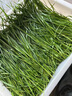 綠中城黑麥草種籽子種多年生牧草種子畜牧養(yǎng)殖草種雞鴨牛羊魚草種籽四季 進(jìn)口一年生黑麥草（小籽）/5斤裝廠家原裝 曬單實拍圖