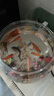 貝初眾魚(yú)缸小型魚(yú)缸圓形塑料缸仿玻璃一體生態(tài)桌面缸家用客廳金魚(yú)斗魚(yú)缸 輕巧高透魚(yú)缸 24*18.5*19.5cm【大號】 高透pet仿玻璃材質(zhì) 裸缸 打不破 摔不碎 久用不糊 曬單實(shí)拍圖