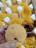 三萌果蔬正宗蒙陰黃桃 山東當季新鮮黃毛桃現(xiàn)摘桃子水果送禮 10斤老樹果【家庭分享】凈重9斤 曬單實拍圖