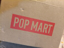 POP MART泡泡瑪特 θSKULLPANDA光織園系列毛絨公仔掛件盲盒周邊 隨機1個(gè)（限購9個(gè)） 不支持7天無(wú)理由退換貨 曬單實(shí)拍圖