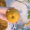 安徽碭山早熟秋月梨新月蜜梨香梨子源頭直發(fā)菲農(nóng) 4.5斤 曬單實(shí)拍圖