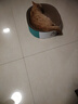 瘋狂的主人貓抓板窩特大號貓玩具貓爪板貓抓盆不掉屑貓窩橢圓形瓦楞紙 曬單實(shí)拍圖