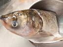 鮮喜愛(ài) 冷凍千島湖有機(jī)鰱魚(yú)頭1.5斤 白鰱魚(yú)頭  生鮮魚(yú)類(lèi) 海鮮水產(chǎn) 曬單實(shí)拍圖