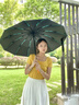 蜜雪小米雨傘全自動(dòng)防曬遮陽(yáng)傘戶(hù)外大號女晴雨兩用防紫外線(xiàn)防風(fēng)便攜太陽(yáng)傘 淺綠色 20骨 雙骨+加固版) 帶禮盒 曬單實(shí)拍圖