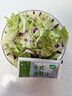 一號農場(chǎng)開(kāi)袋即食意式風(fēng)情沙拉150g*3混合蔬菜沙拉包輕食健身代餐源頭直發(fā) 曬單實(shí)拍圖