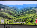 TCL電視 55Q9L Pro 55英寸 QD-Mini LED 蝶翼星曜屏 萬(wàn)象分區 絢彩XDR 3000nits 超薄 電視機 55英寸 曬單實(shí)拍圖