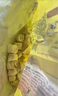 灣仔碼頭 上湯小云吞 早餐速食 生鮮食品 【熱銷(xiāo)爆款】三鮮云吞600g*3袋 曬單實(shí)拍圖
