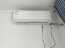 長虹（CHANGHONG）空調(diào)大1.5匹超一級省電熊貓懶家用變頻空調(diào)掛機家電國家補貼臥室KFR-35GW/ZDCSW1+RA(PR)以舊換新 曬單實拍圖