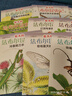最美的法布爾昆蟲記全12冊(cè)套裝 松岡達(dá)英大師 兒童自然科普昆蟲百科全書學(xué)校推薦課外閱讀3-6歲7-10歲愛心樹童書 曬單實(shí)拍圖