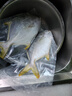 翔泰 海南金鯧魚(yú)凈重900g 2條裝  魚(yú)類(lèi)生鮮 火鍋食材 海鮮水產(chǎn) 中秋 曬單實(shí)拍圖
