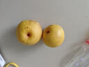 鮮級佳正宗遼寧鞍山南果梨【多地次日達】東北特產(chǎn)南國梨香水梨中秋禮品 30枚裝【甜蜜爆汁】精選大果 凈重5斤【爆款推薦-80%選擇】超值推薦 曬單實(shí)拍圖