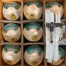 佳沃 JOYVIO泰國進(jìn)口椰青香水椰子 9個(gè)裝 大果900g+ 水果禮盒 水果 源頭直發(fā) 曬單實(shí)拍圖