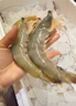 鮮京采 原裝進(jìn)口厄瓜多爾白蝦 凈重3.3斤 大號30-40規格 50-66只/盒 曬單實(shí)拍圖