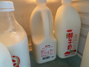 三元 全脂 鮮牛奶 1.8L 大桶家庭裝  巴氏殺菌 早餐搭檔 曬單實(shí)拍圖