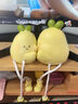 斤慕創(chuàng  )意抱抱梨長(cháng)腿吊腳娃娃擺件家居裝飾品客廳電視柜教師節生日禮物 吊腳娃娃擺件【永不分離套裝】 曬單實(shí)拍圖