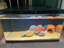 當(dāng)貝智能生態(tài)魚缸1Ultra 一體缸自循環(huán)雙過濾AI托養(yǎng)懶人家用桌面魚缸 曬單實拍圖