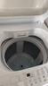 東芝（TOSHIBA）波輪洗衣機全自動(dòng) DB-12T06D 直驅變頻 12公斤大容量白色 不彎腰 除菌螨 以舊換新家電國家補貼20% 曬單實(shí)拍圖