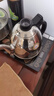 金灶（KAMJOVE） 茶具配件 304不銹鋼電水壺 茶具消毒鍋茶壺單壺【非整套產(chǎn)品】 K6/K7/K8/K9煮水壺 曬單實拍圖