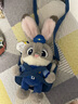 迪士尼（Disney）瘋狂動(dòng)物城朱迪玩偶斜挎包毛絨玩具教師節禮物女孩生日禮物女朋友 曬單實(shí)拍圖