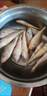 順豐小黃魚(yú)深海捕撈速凍生鮮野生黃花魚(yú)肉質(zhì)鮮嫩海鮮水產(chǎn)煲湯煎炸 5斤【小黃花魚(yú)】 曬單實(shí)拍圖