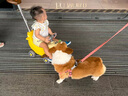 匯樂(lè )玩具兒童香蕉學(xué)步車(chē)1-3歲嬰幼兒童手推車(chē)滑行車(chē)寶寶一周歲生日禮物 四合一香蕉飛機學(xué)步手推車(chē)（室內外暢行） 新生兒見(jiàn)面禮實(shí)用高端早教禮物男女孩防0型腿 曬單實(shí)拍圖