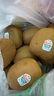 佳沛（zespri）綠果特大果22-25個(gè)原箱裝單果約133-176g 中秋水果禮盒獼猴桃 曬單實(shí)拍圖