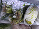 【火鍋菜】葉菜拼盤500g(菠菜葉+蒿子稈+生菜葉+娃娃菜) 曬單實(shí)拍圖