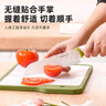 拜格嬰兒輔食工具兒童菜板輔食剪刀切片刀水果刀削皮刀輔食刀具全套 輔食切片刀+恐龍雙面菜板 曬單實(shí)拍圖