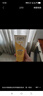旁氏（POND'S）米粹潤(rùn)澤保濕潔面乳150g 氨基酸洗面奶男女去角質(zhì) 七夕節(jié)送禮 曬單實(shí)拍圖
