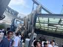 竹燕青熟咸鴨蛋20枚蟹香中秋團(tuán)購(gòu)即食北海紅樹(shù)林初生烤海鴨蛋55g流油 曬單實(shí)拍圖