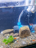 創(chuàng)寧變頻潛水泵 CN-9500-13W 10檔流量調(diào)節(jié) 魚缸假山噴泉池循環(huán)抽水 曬單實拍圖