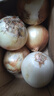 新鮮黃洋蔥黃金水果洋蔥即食蔬菜調(diào)料燒烤食材 新鮮黃洋蔥 5斤 含箱 曬單實(shí)拍圖