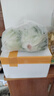 綠食者 新鮮綠葉生菜500g 羅莎綠花邊花葉生菜西餐沙拉食材健康輕食蔬菜 曬單實拍圖