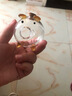 筏芯透明存錢(qián)罐金豆豆小豬玻璃瓶小金豆收納瓶許愿瓶金豆豆收納瓶網(wǎng)紅 小豬瓶+木底座：愛(ài)如海深 曬單實(shí)拍圖